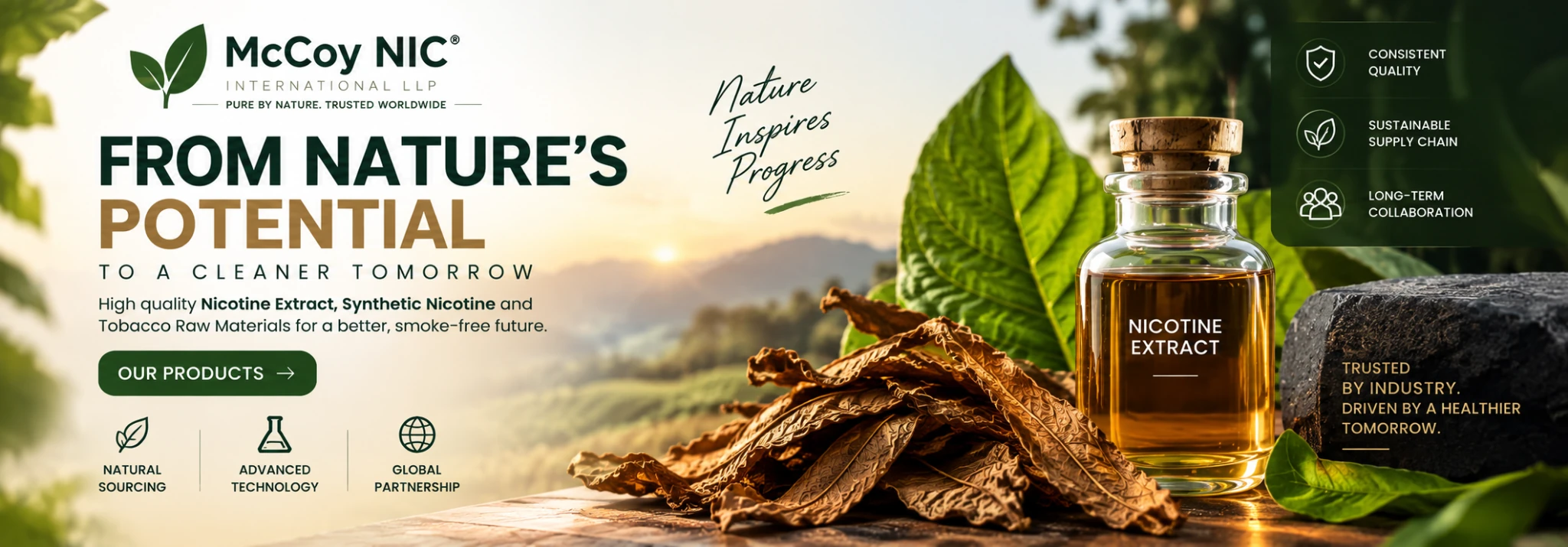 McCoy NIC International LLP — dependable B2B nicotine raw material supply